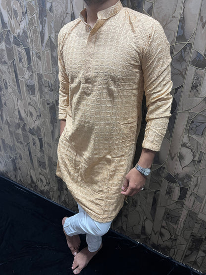 Men’s Chikan Skin Kurta – Elegant Sequence Work for Festive Wear A19